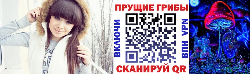 купить наркоту Полесск нарко площадка состав Галлюциногенные грибы Magic Shrooms